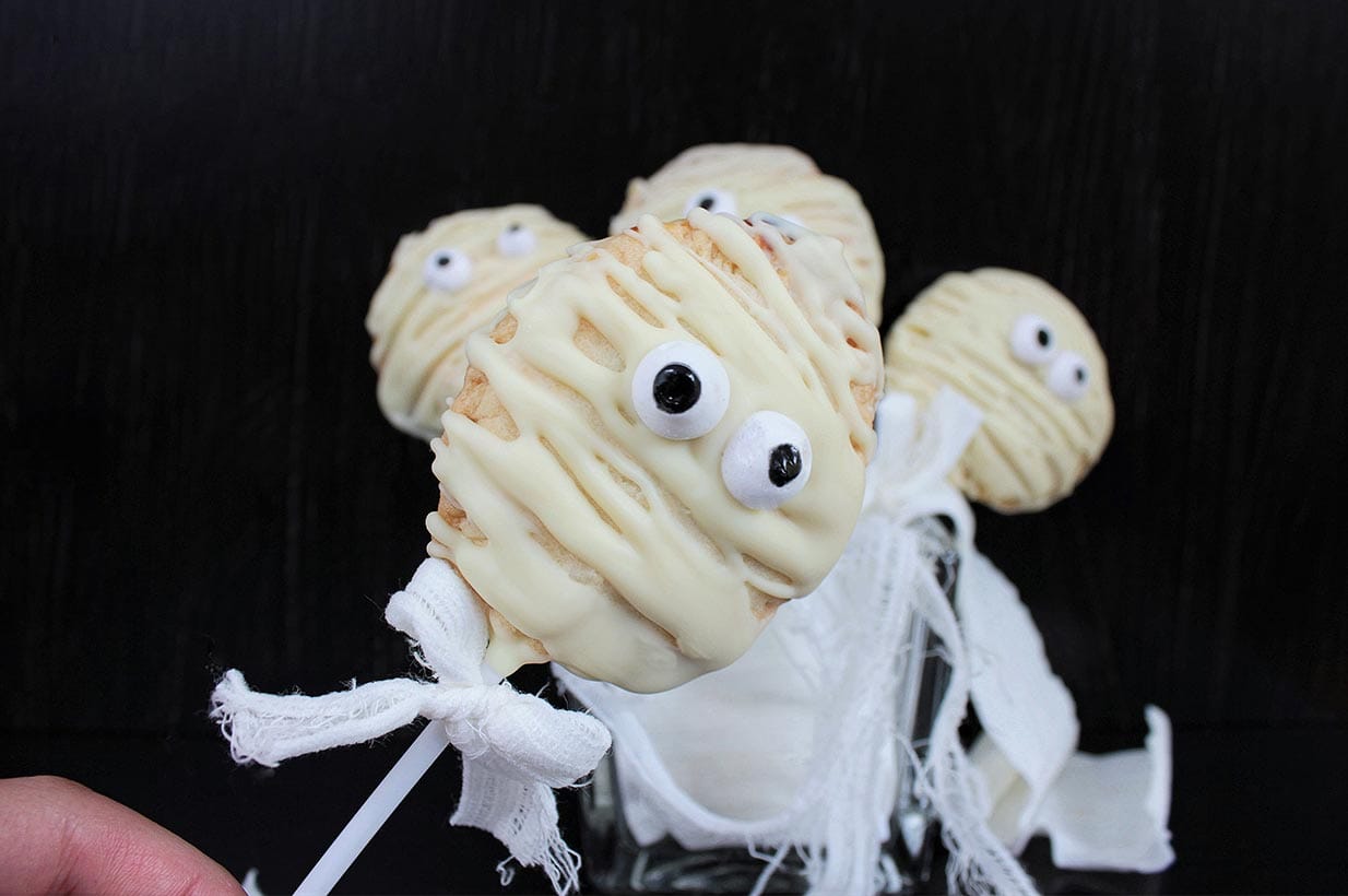 Quinoa Riegel vegan - zuckerfrei - vegane Snacks - Birkengold