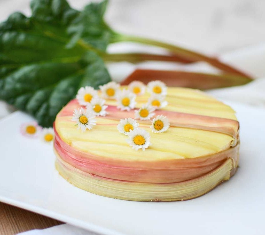 Rhabarberkuchen, Käsekuchen, Rhuburb Cheesecake, zuckerfrei