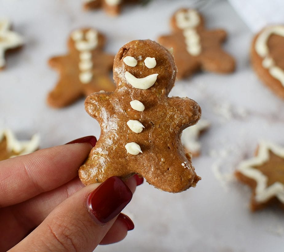 Protein Lebkuchen, Lebkuchen ohne Zuckerzusatz, Lebkuchen mit Xylit, Erdnussbutter Lebkuchen, Lebkuchen mit Peanut Butter, Lebkuchen zuckerfrei