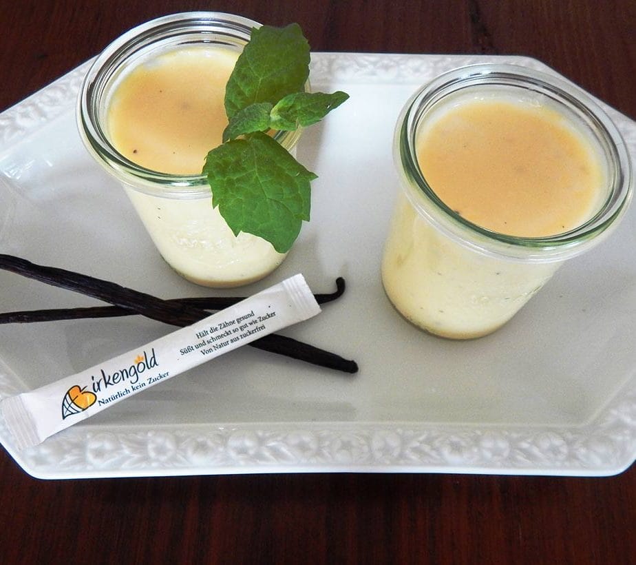 Vanillepudding ohne Zucker, Vanillepudding mit Xylit, Zuckerfreier Pudding, Pudding ohne Zucker