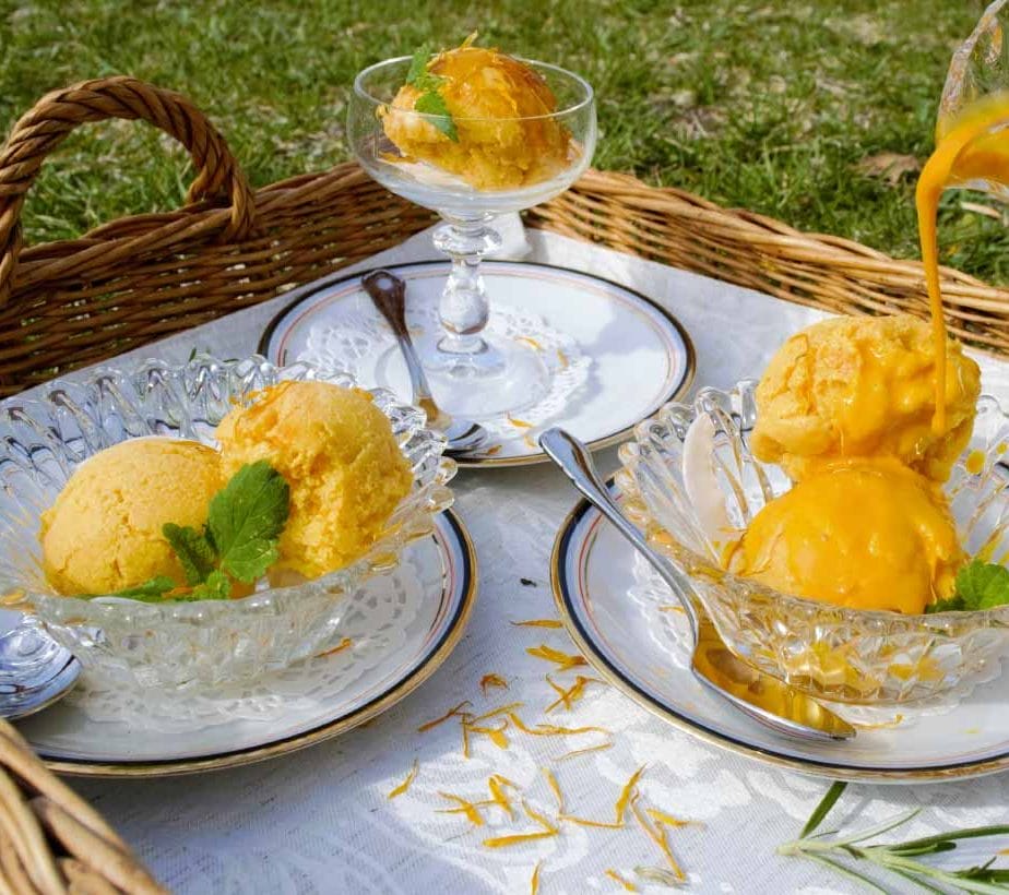 Sanddorn Eis ohne Zucker, Sanddorn Eis mit Birkenzucker, Sanddorn-Melonen Eis zuckerfrei