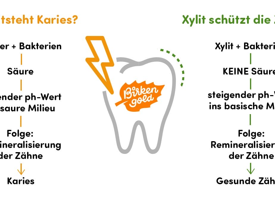 Diagramm: Karies durch Zucker, Schutz durch Xylit, fördert Zahngesundheit durch steigenden pH-Wert.