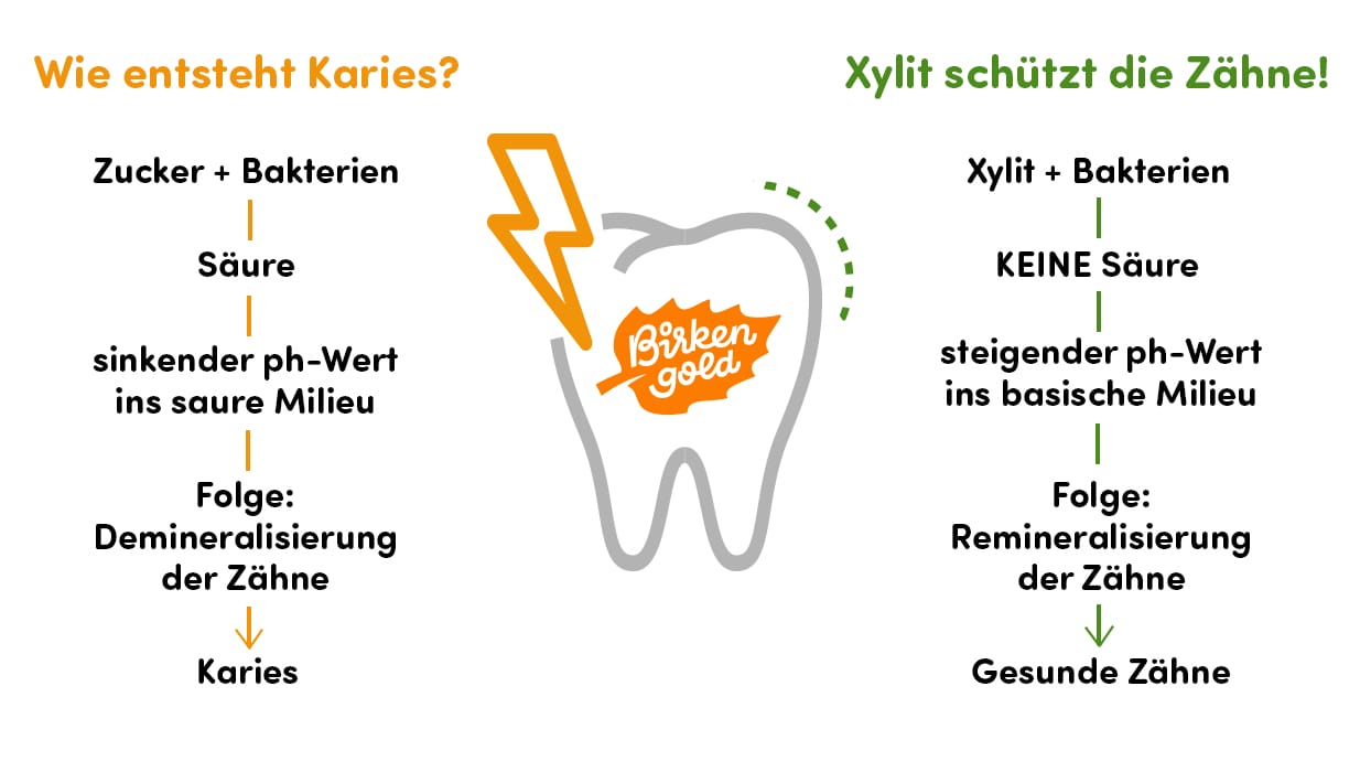 Diagramm: Karies durch Zucker, Schutz durch Xylit, fördert Zahngesundheit durch steigenden pH-Wert.