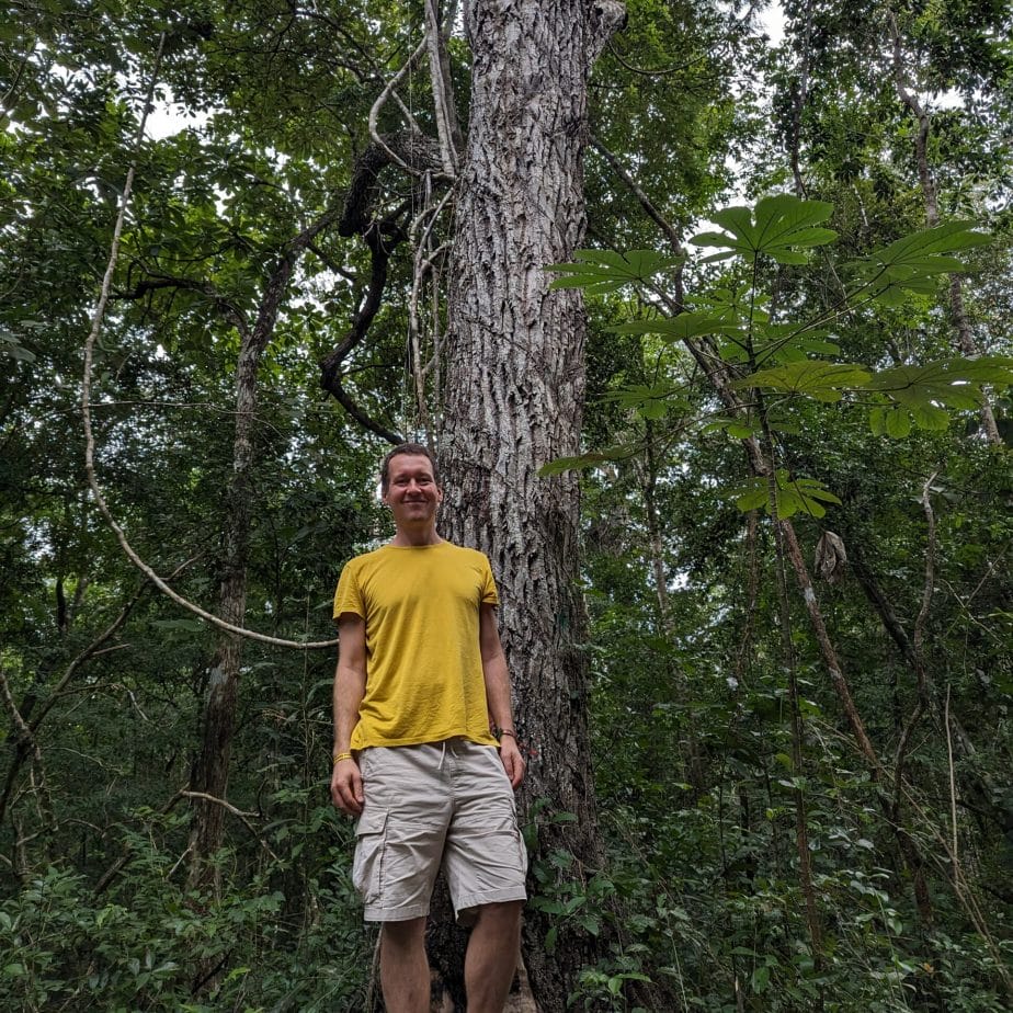 Man in yellow shirt standing beside a large tree in a dense forest.