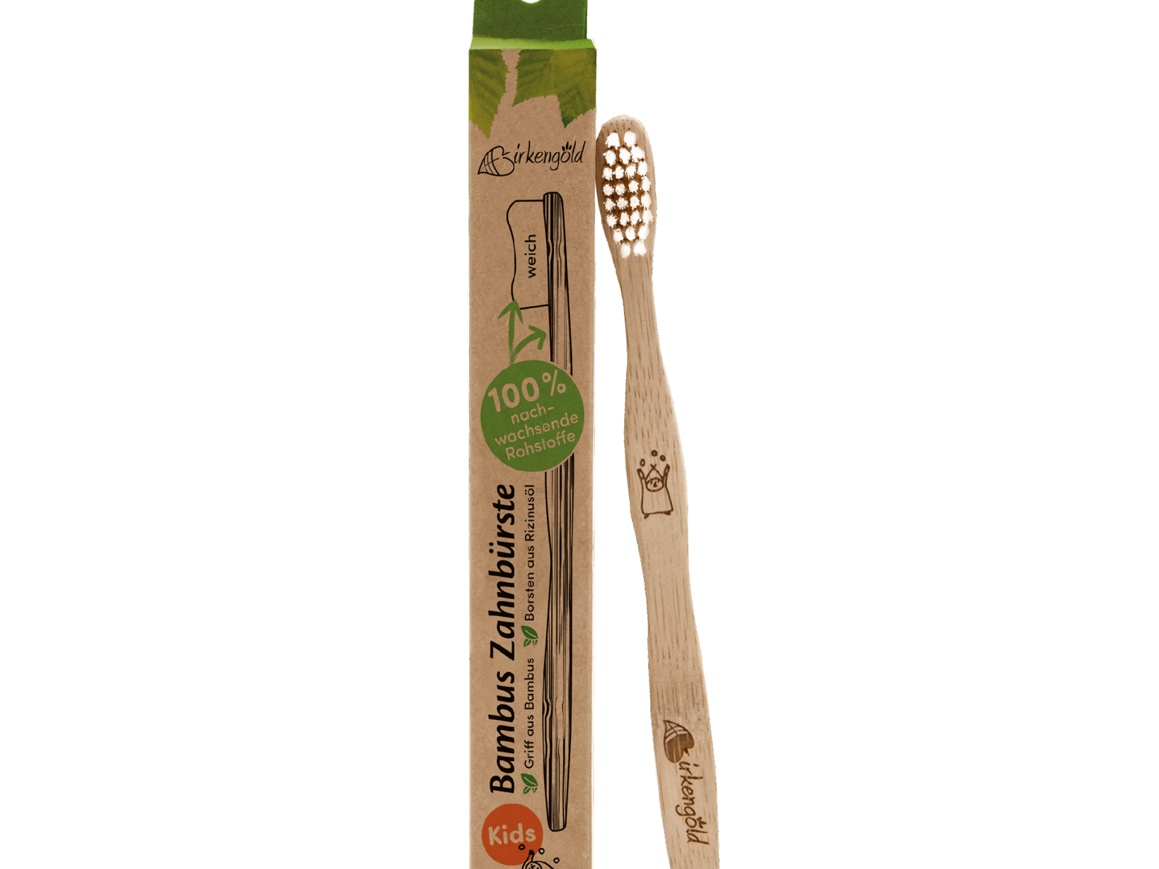 bambus paderborn Wuchernder Bambus Goldrohrbambus kaufen | Phyllostachys aurea -  Goldrohrbambus