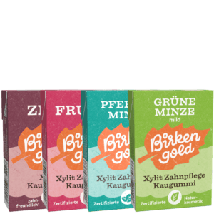 Vier Packungen Birken Xylit Zahnpflege Kaugummi in verschiedenen Geschmacksrichtungen: Zimt, Frucht, Pfefferminze, Grüne Minze.